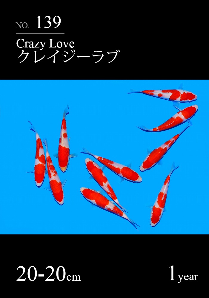 クレイジーラブ