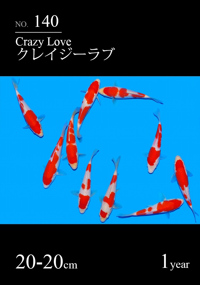 クレイジーラブ