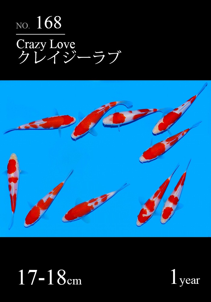 クレイジーラブ