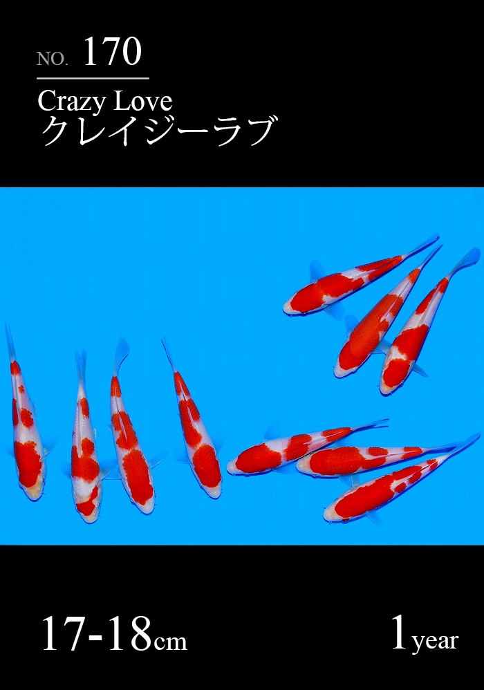 クレイジーラブ