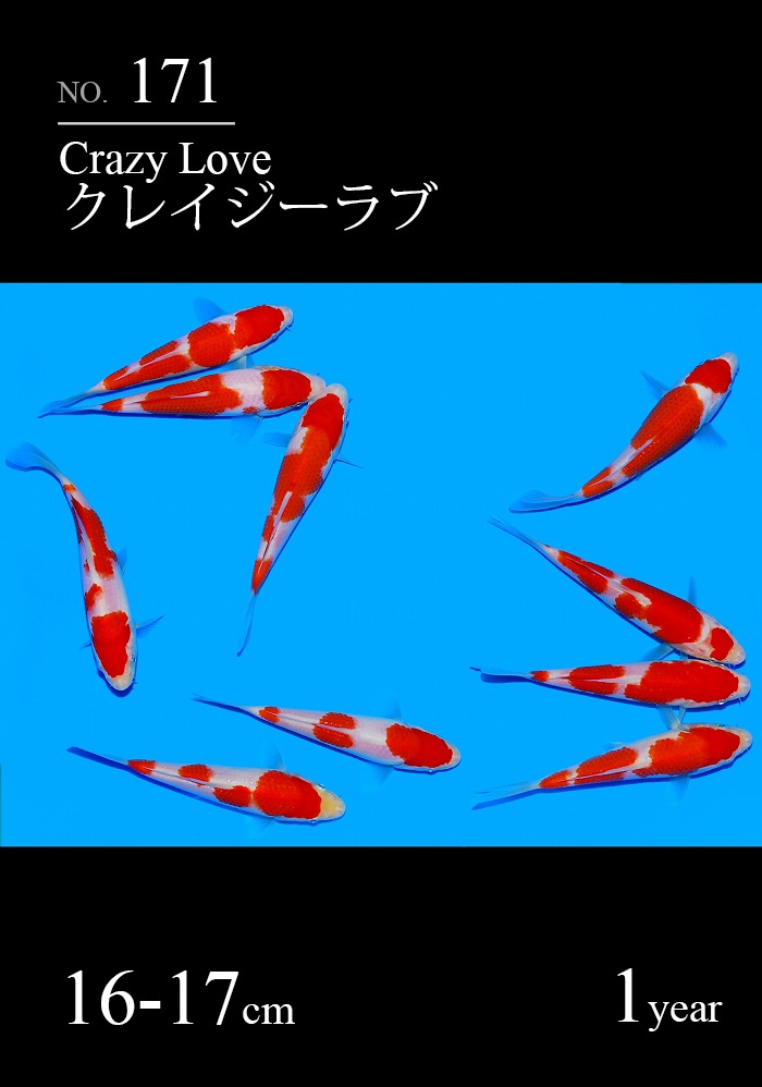 クレイジーラブ