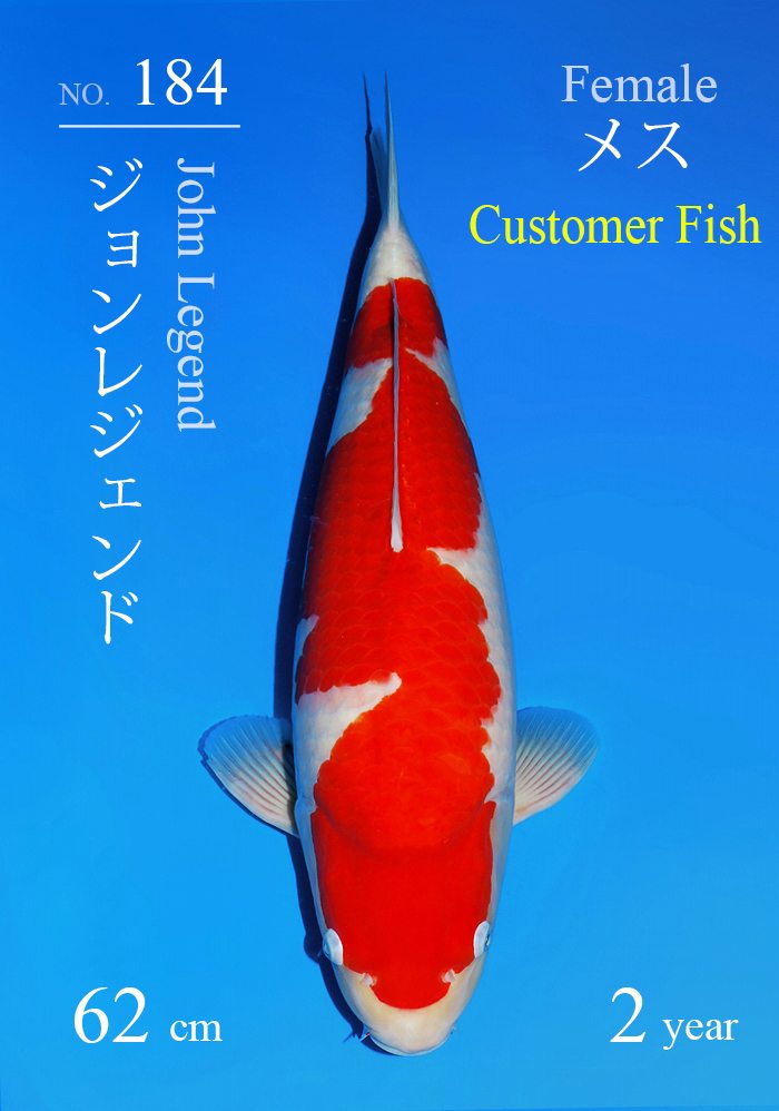 ジョンレジェンド