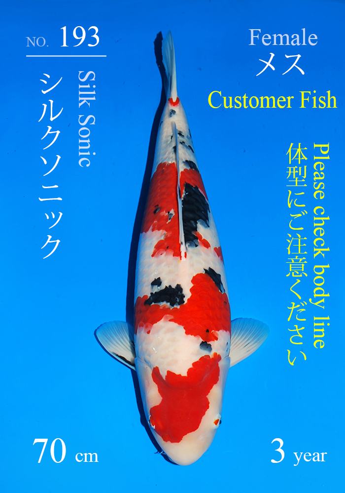 シルクソニック