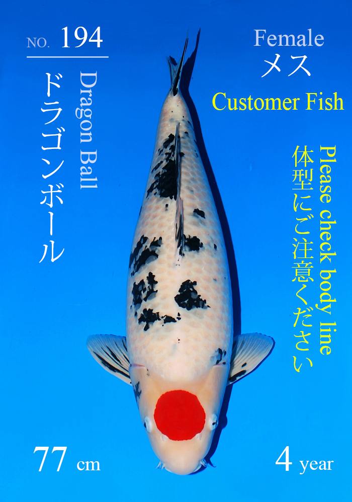 ドラゴンボール