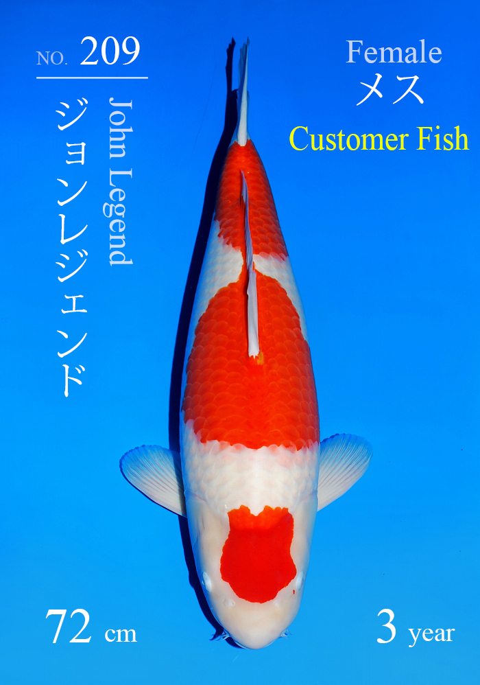 ジョンレジェンド