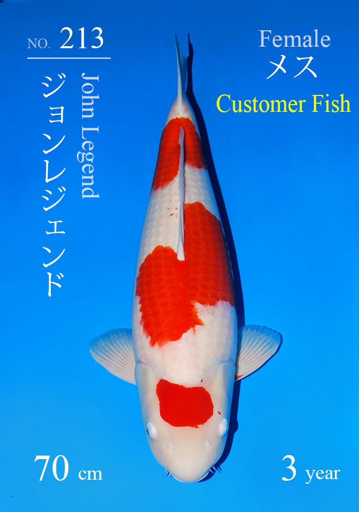 ジョンレジェンド