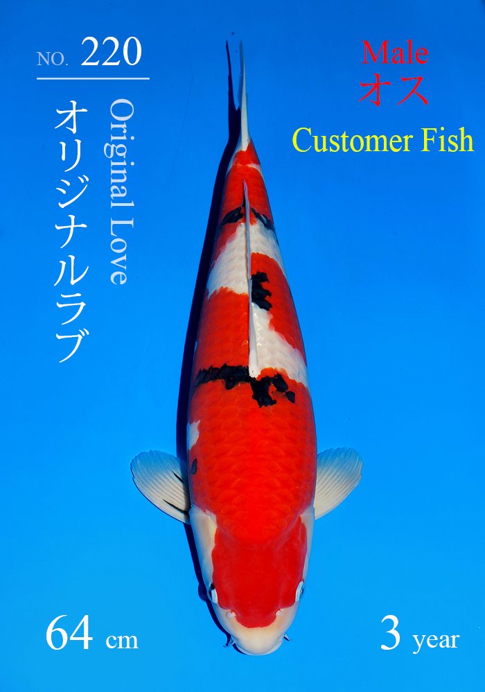 オリジナルラブ