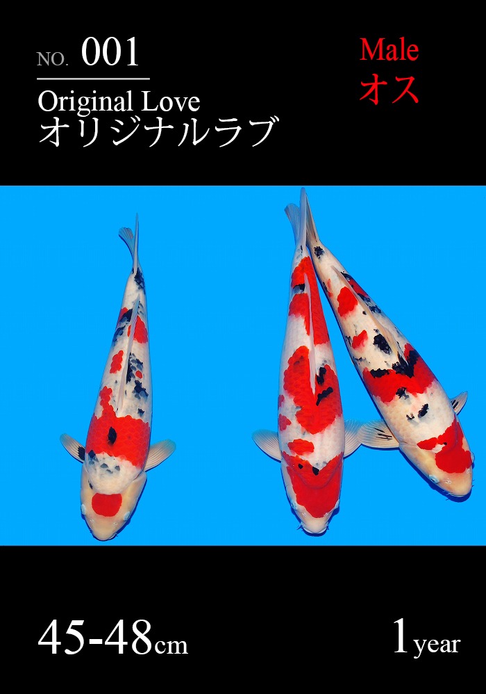 オリジナルラブ
