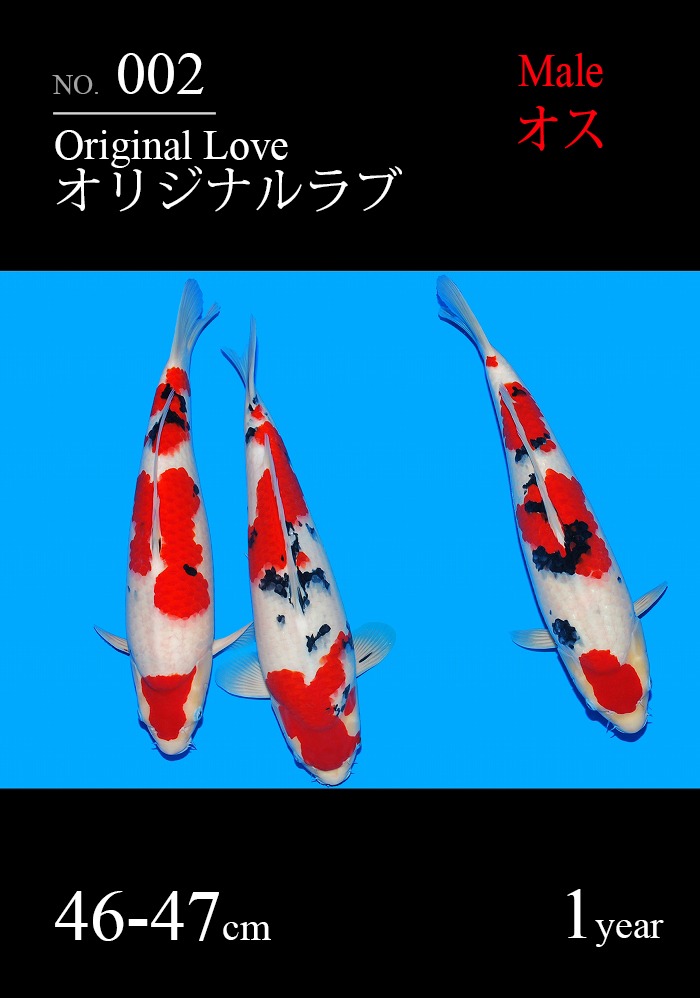 オリジナルラブ