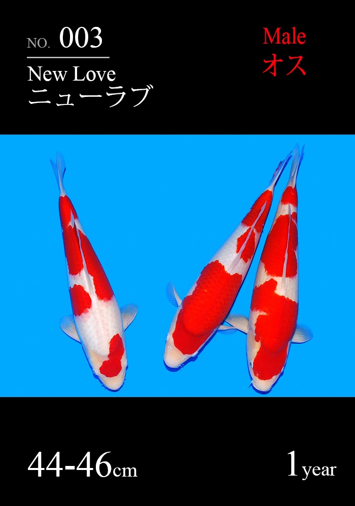 ニューラブ