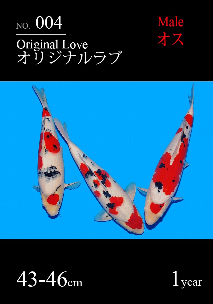 オリジナルラブ
