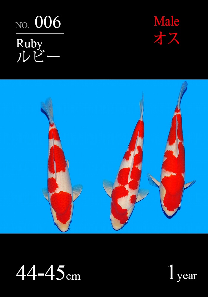 ルビー