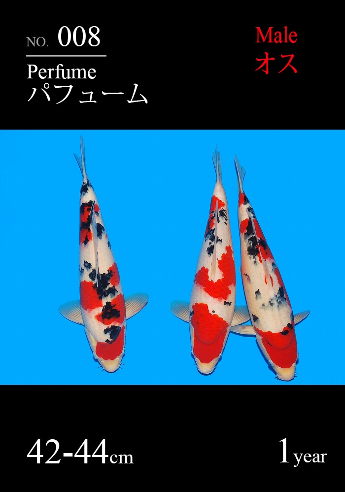 パフューム