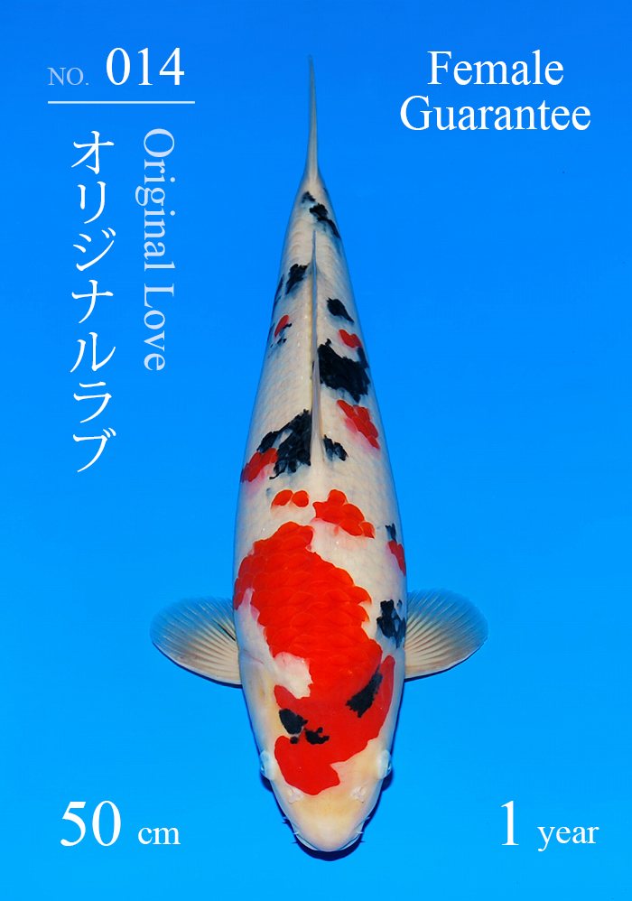 オリジナルラブ