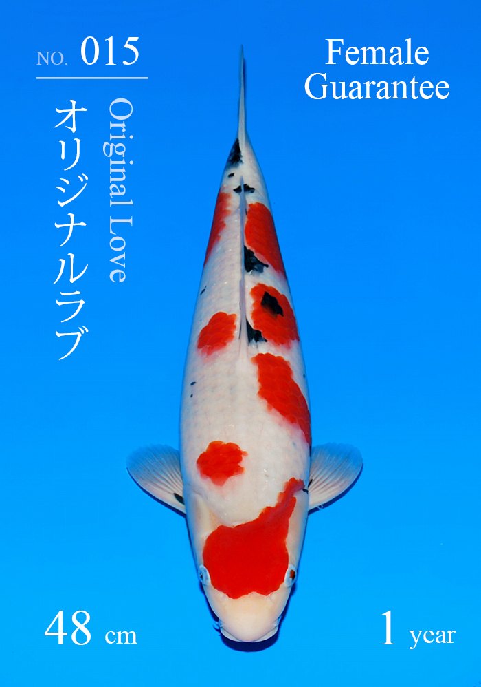 オリジナルラブ