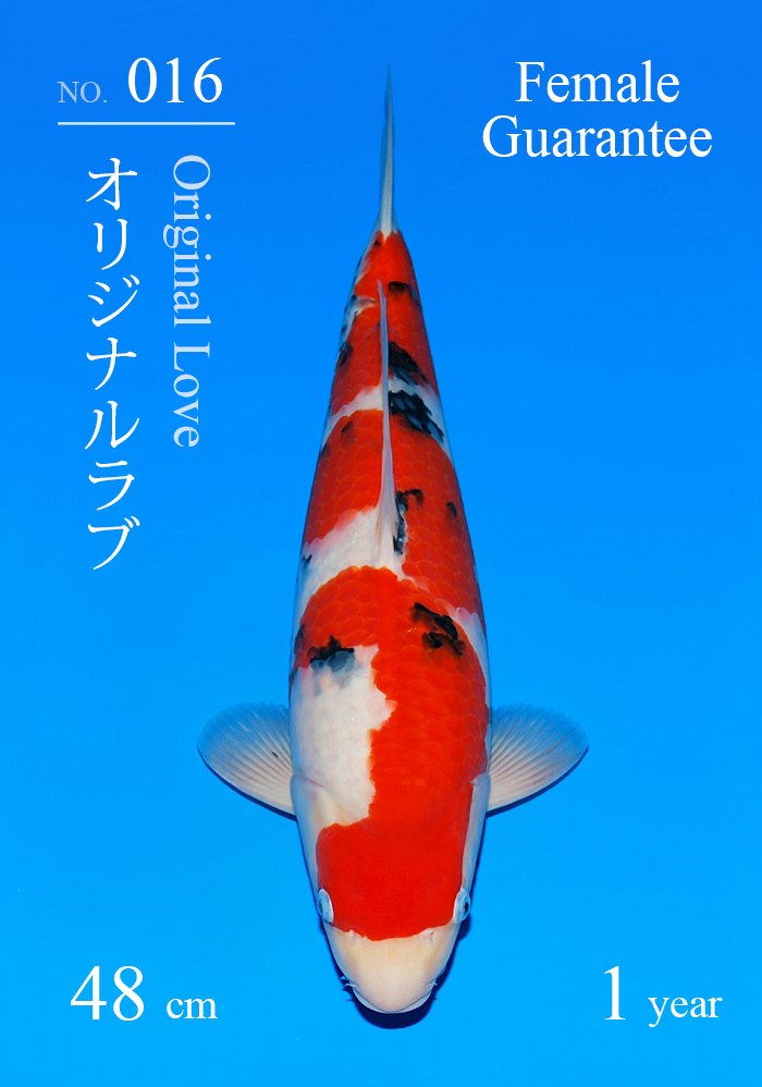 オリジナルラブ