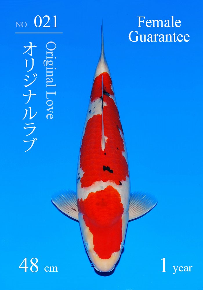 オリジナルラブ