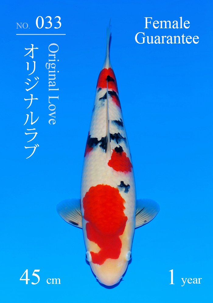 オリジナルラブ