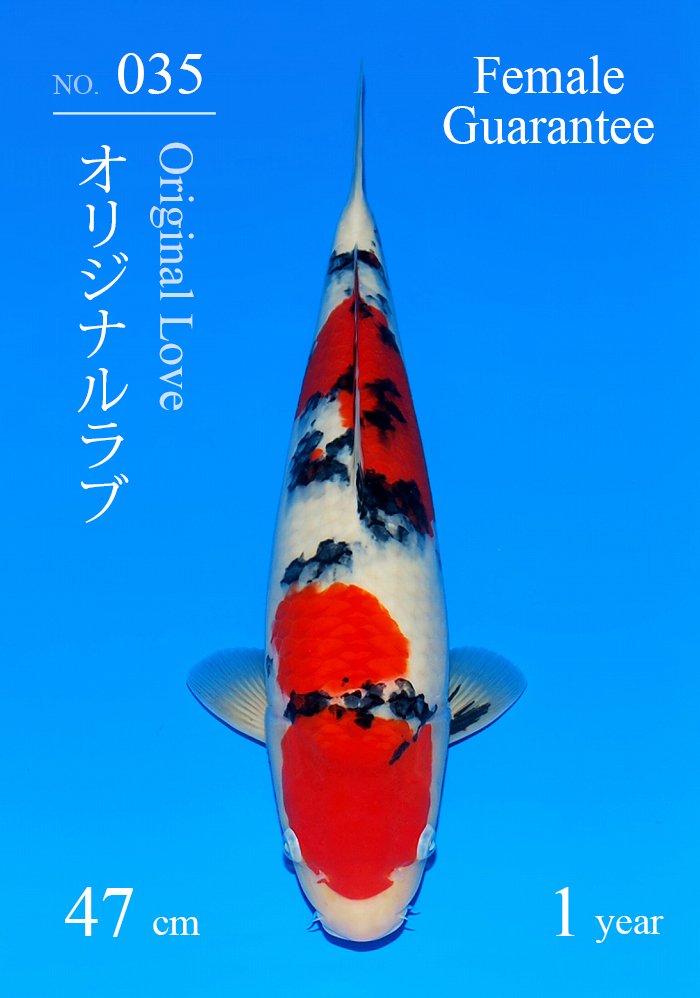 オリジナルラブ