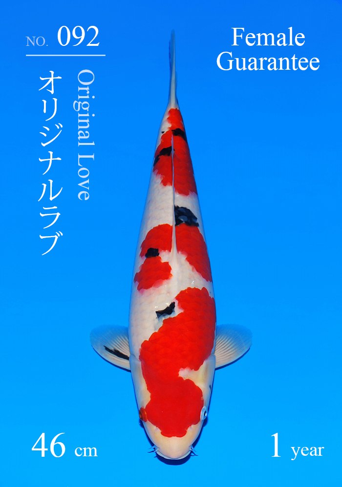 オリジナルラブ