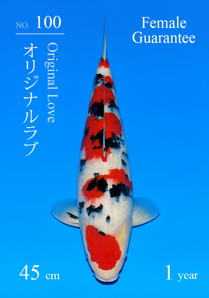 オリジナルラブ