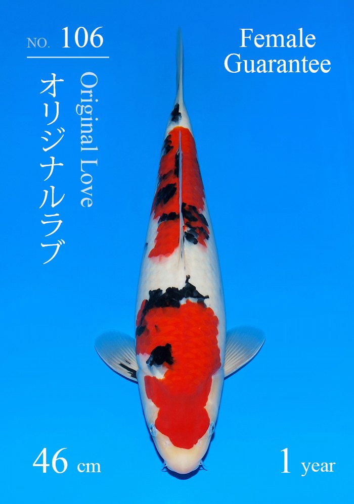 オリジナルラブ
