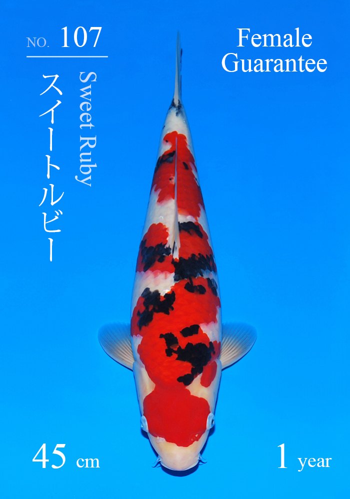 スイートルビー