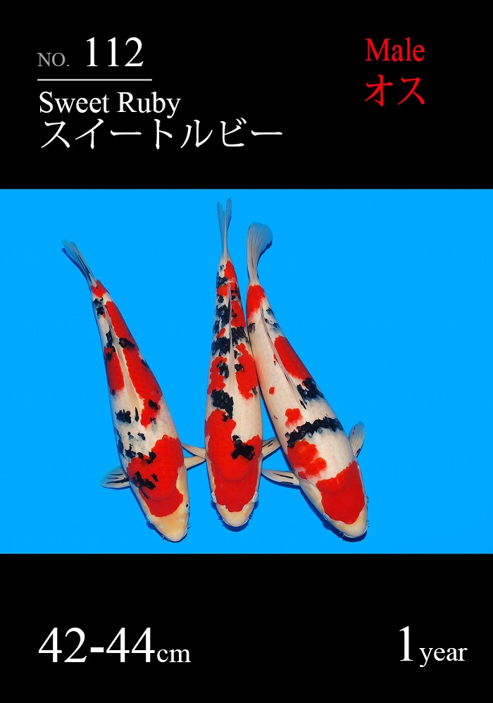 スイートルビー