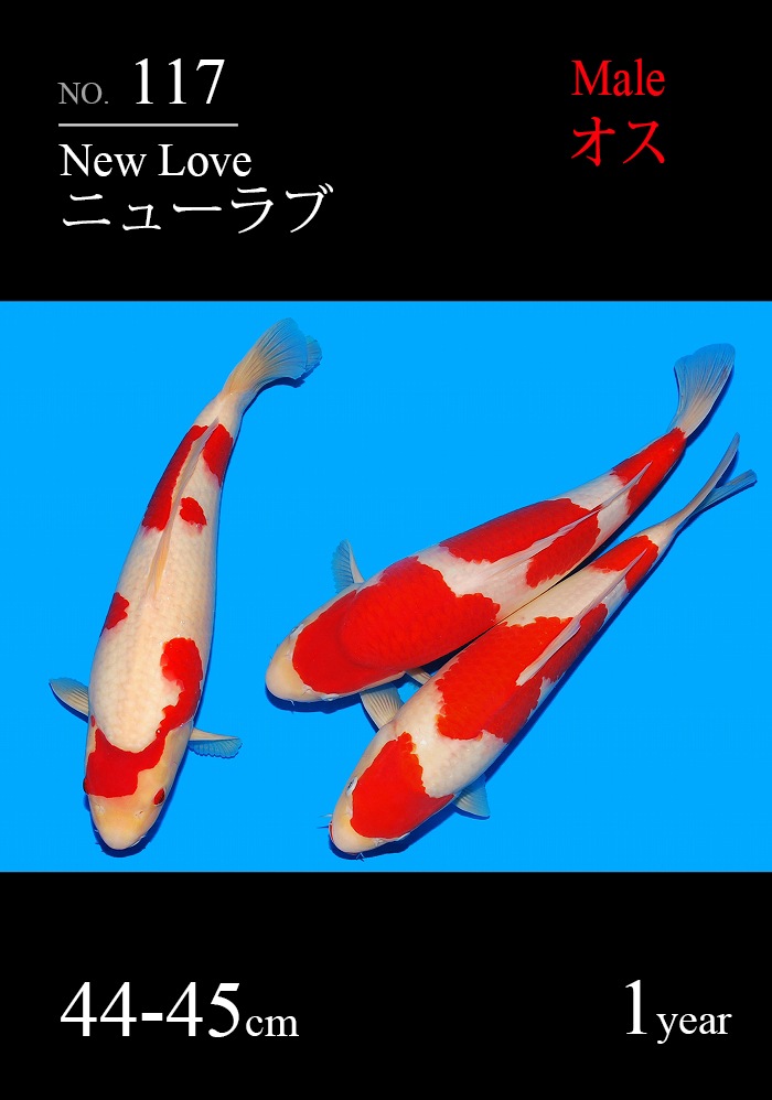 ニューラブ