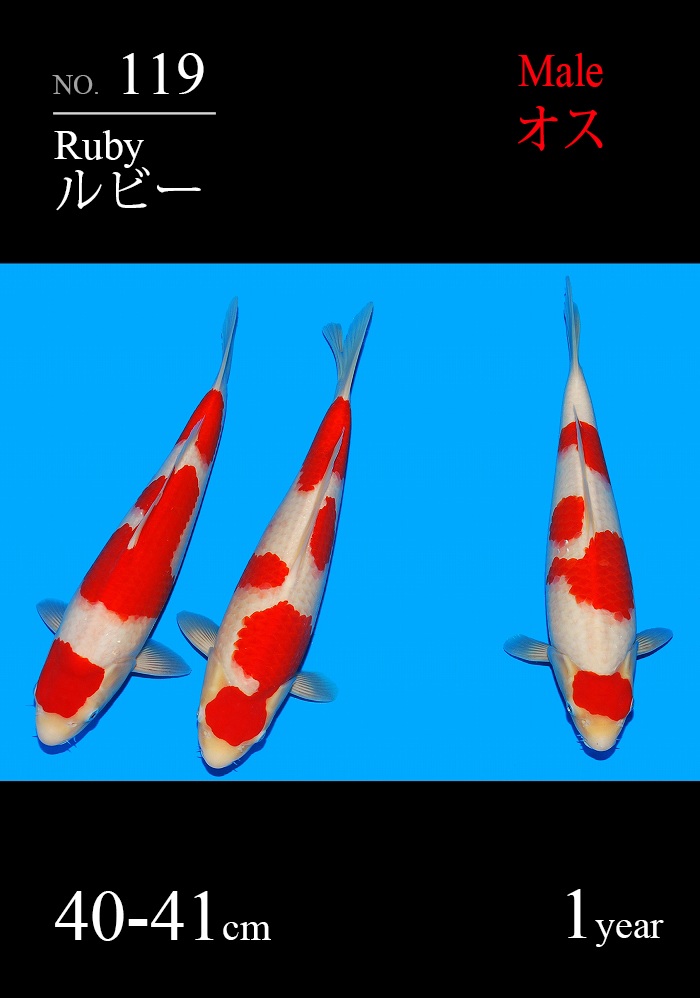ルビー