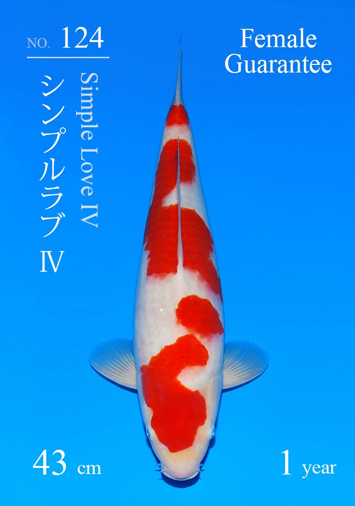 シンプルラブ?