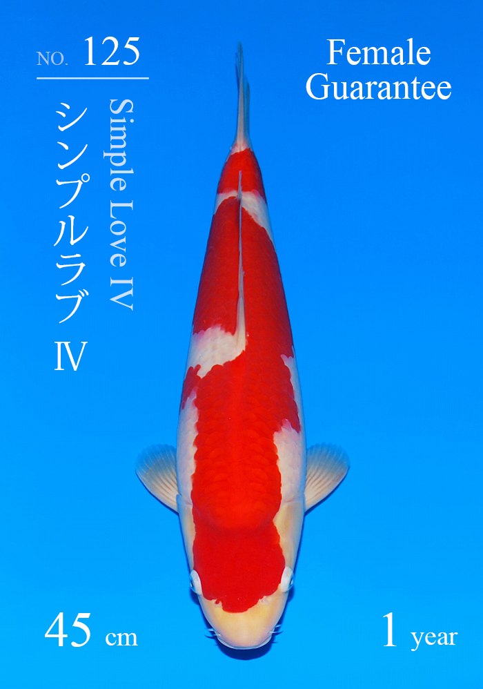 シンプルラブ?
