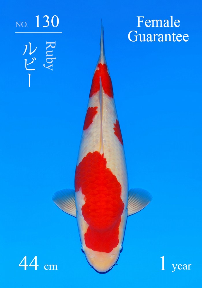 ルビー