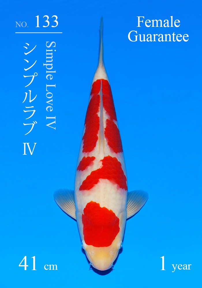 シンプルラブ?