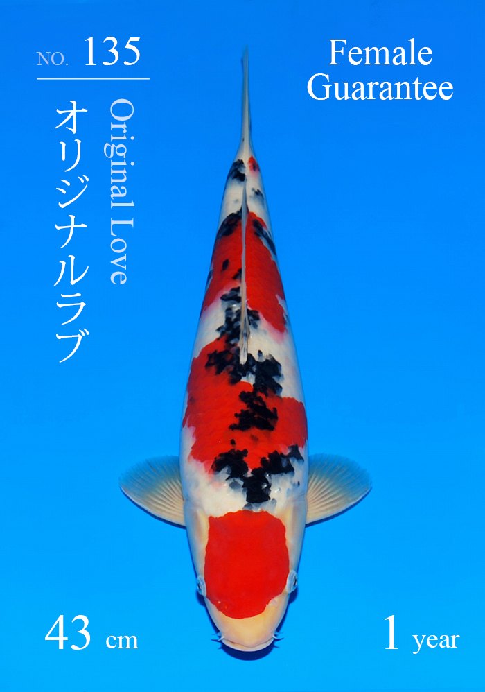 オリジナルラブ