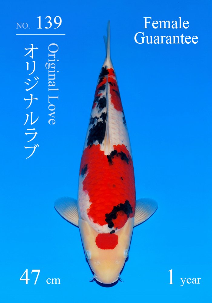 オリジナルラブ