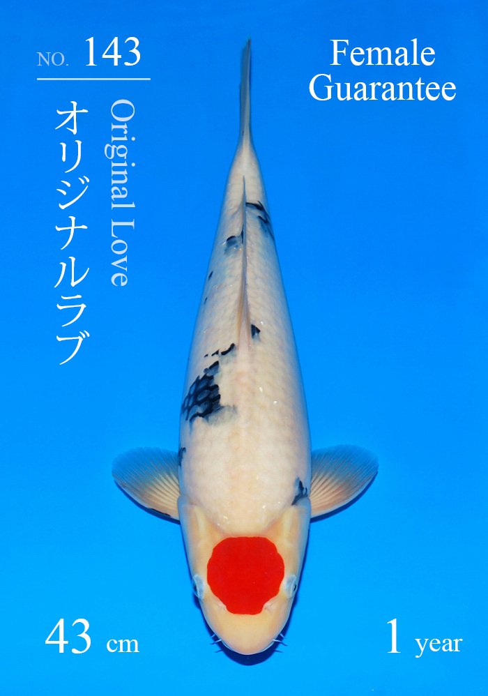 オリジナルラブ