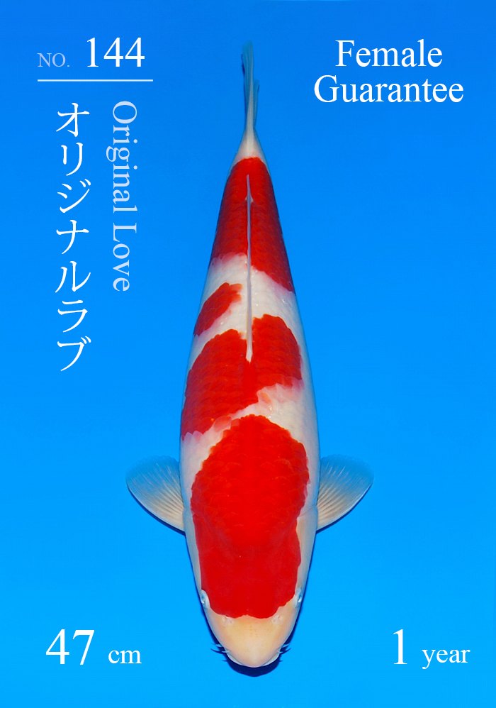 オリジナルラブ