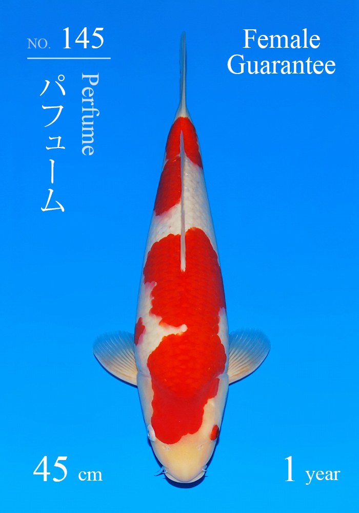 パフューム