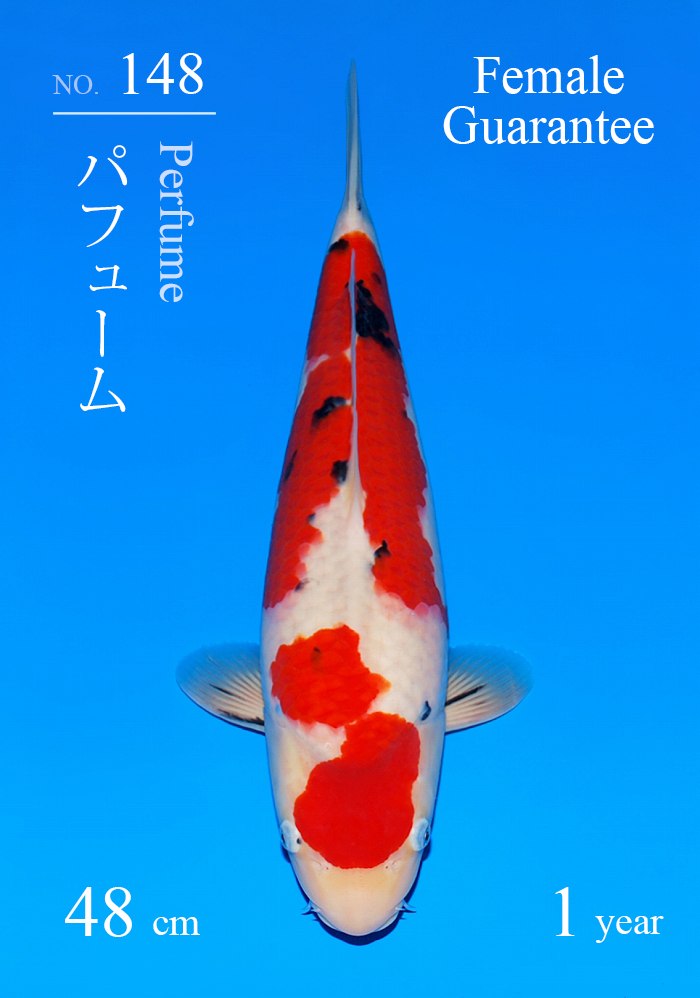 パフューム