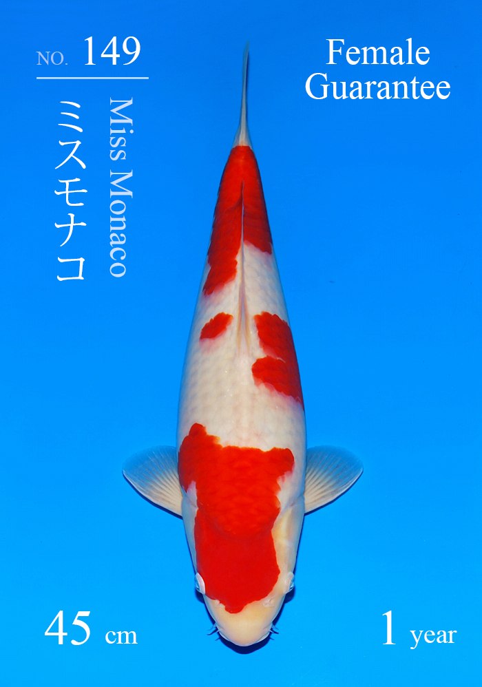 ミスモナコ