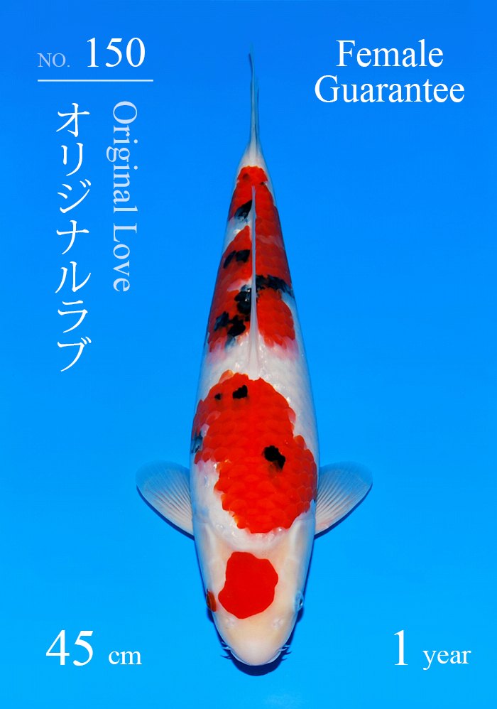 オリジナルラブ