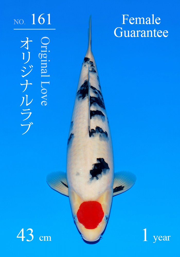 オリジナルラブ