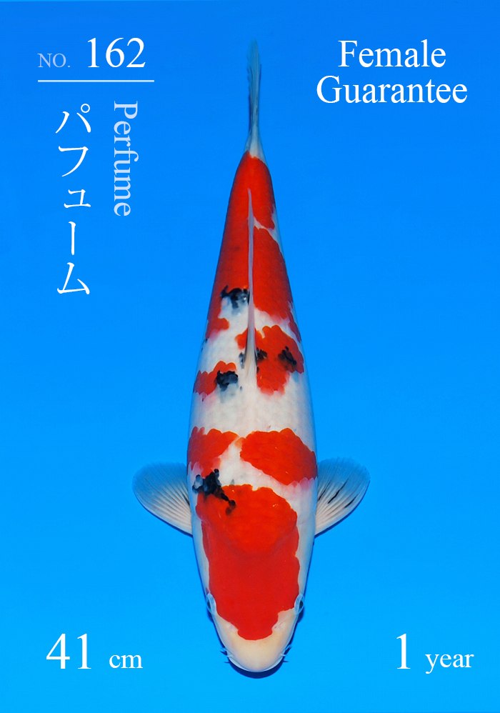 パフューム