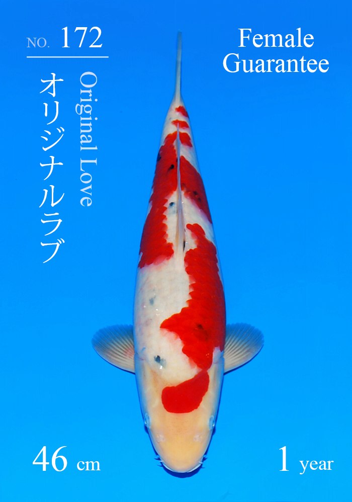 オリジナルラブ