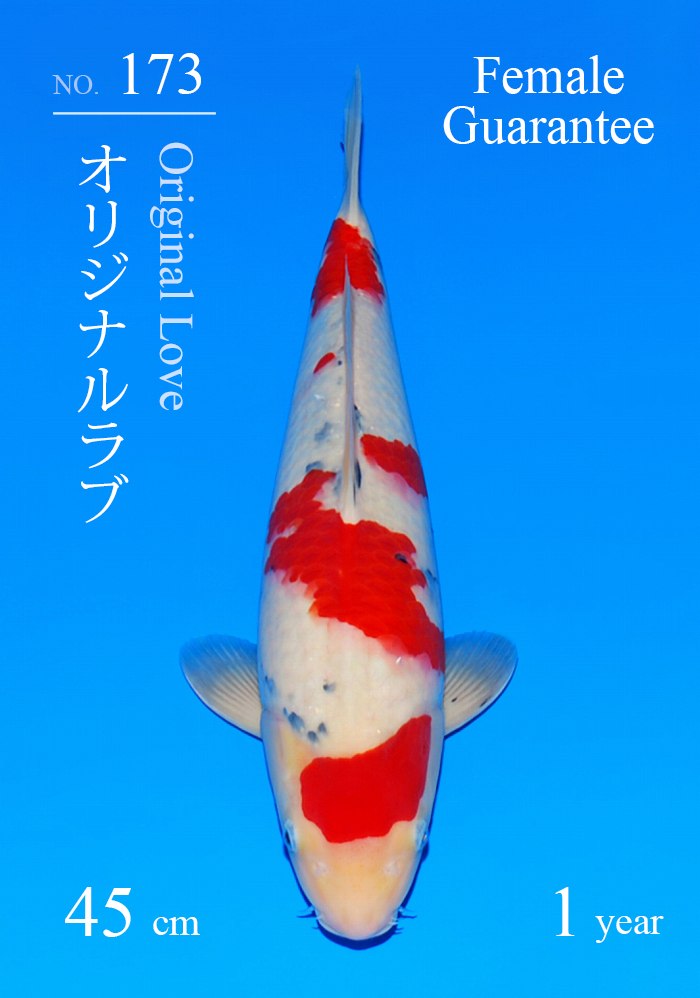 オリジナルラブ