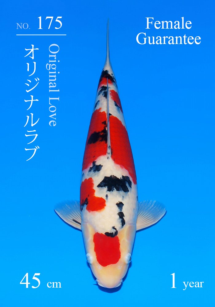 オリジナルラブ