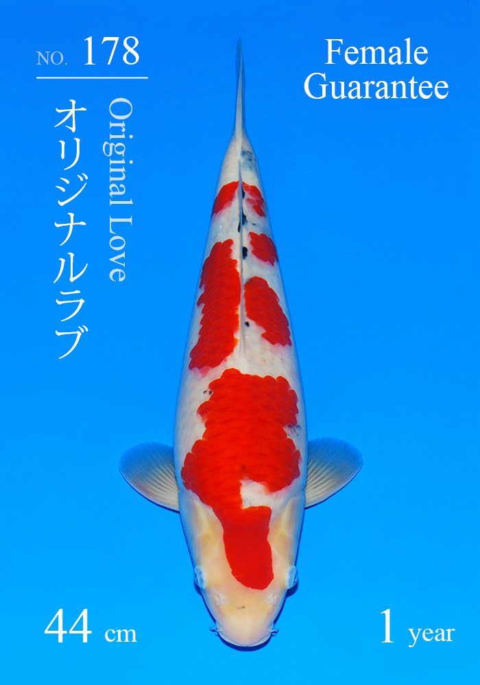 オリジナルラブ