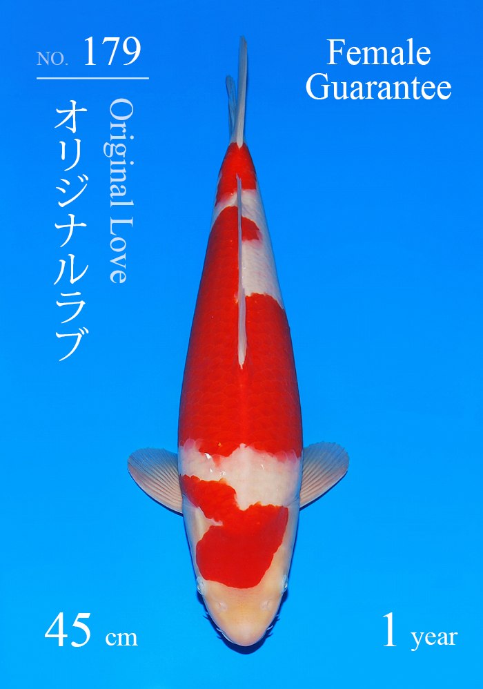 オリジナルラブ