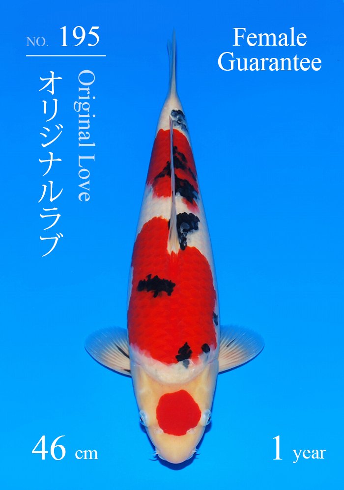 オリジナルラブ
